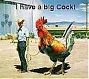 big o's Avatar